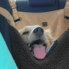 @karbairusa@kbin.social avatar