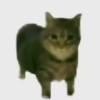 @pine@kbin.social avatar