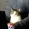 @dr_robot@kbin.social avatar