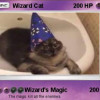 @wizard_cat@kbin.social avatar