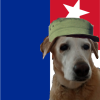 @ComradePupIvy@lemmygrad.ml avatar