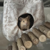 @SnowyAmelie@lemmy.blahaj.zone avatar