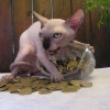@animist@lemmy.one avatar