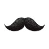 @CurlyMoustache@kbin.social avatar