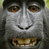 @Ghast@lemmy.ml avatar