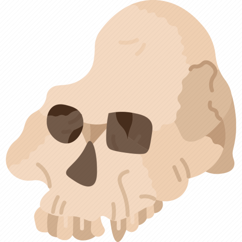 archaeology@mander.xyz Icon