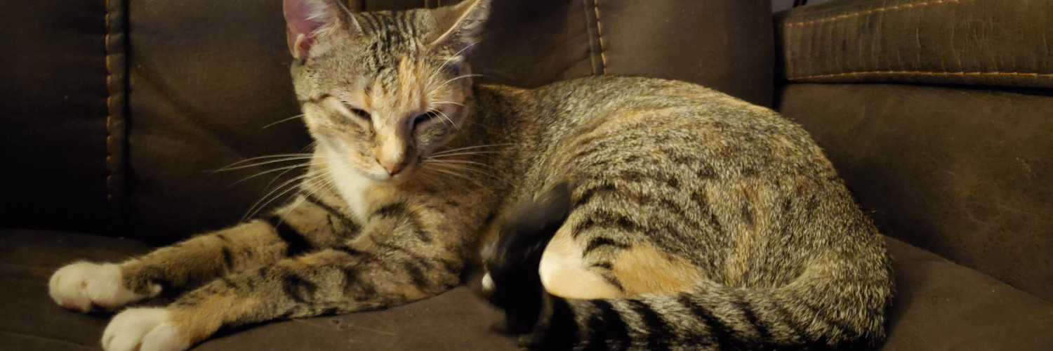 @cakeslayer@lemmy.world