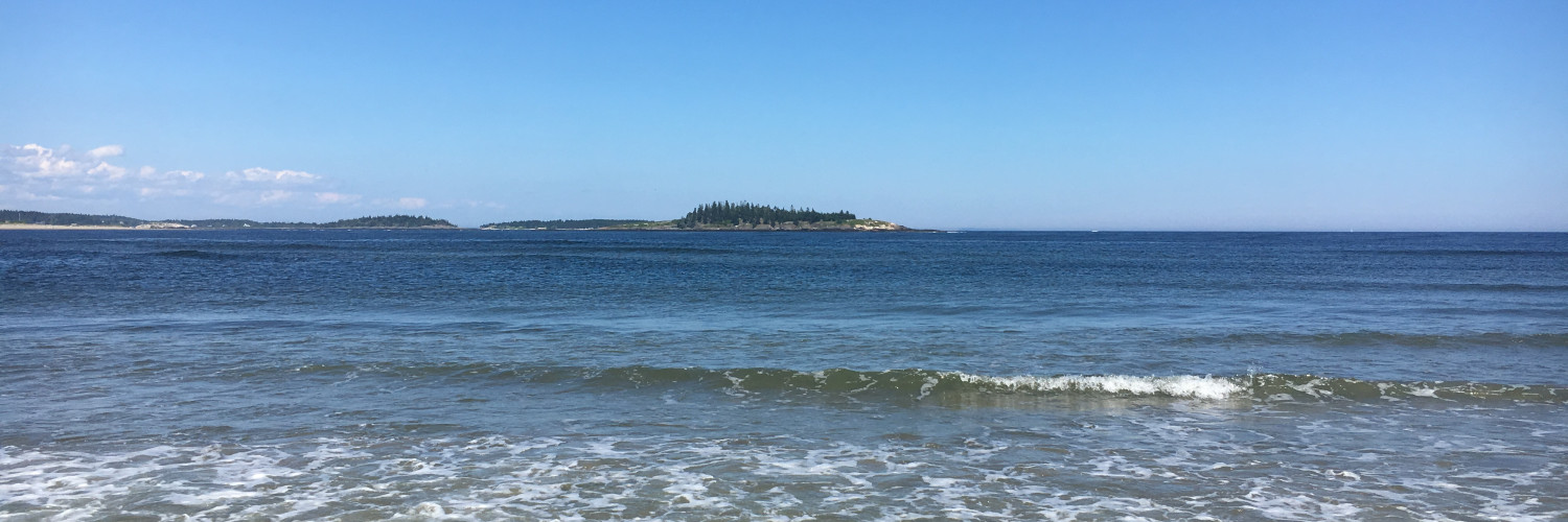 @itsyourmom@artemis.camp