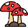 mushrooms@lemmy.world cover