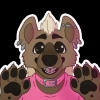 @mattyeen@pawb.social avatar