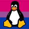 @linuxFan@vlemmy.net avatar