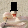 @Snek@feddit.ch avatar