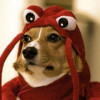 @LobsterDog@frig.social avatar