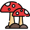 mushrooms@lemmy.world avatar