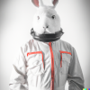 @canitendtherabbits@kbin.social avatar