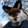 @xianfox@lemmy.foxden.social avatar