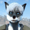 @Snowpix@yiffit.net avatar