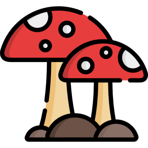 mushrooms@lemmy.world Icon