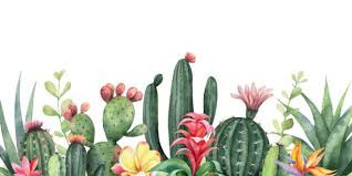 @cactus_head@programming.dev